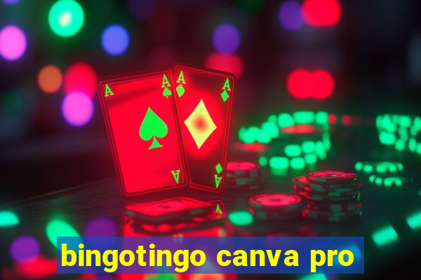 bingotingo canva pro